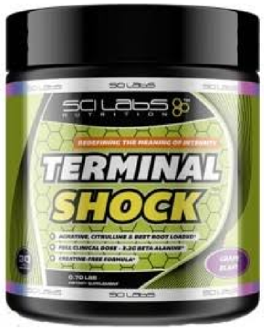 SCI LABS TERMINAL SHOCK