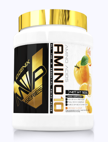 IOGENIX AMINO10 500G. NARANJA